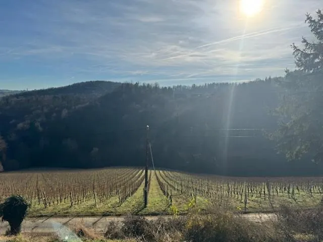 Maximilian غامليتز